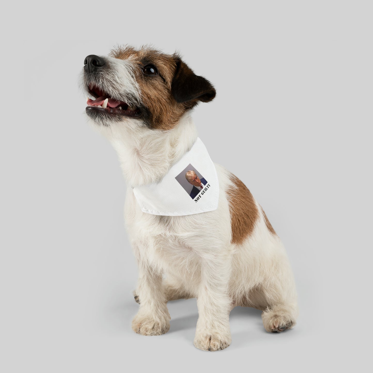 NOT GUILTY Trump Mugshot Pet Bandana Collar