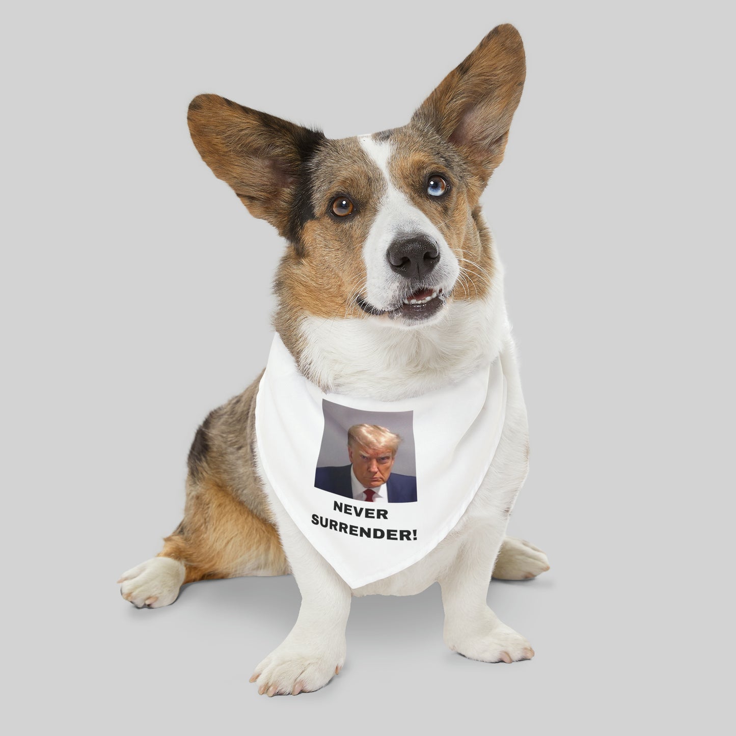 NEVER SURRENDER Trump Mugshot Pet Bandana Collar