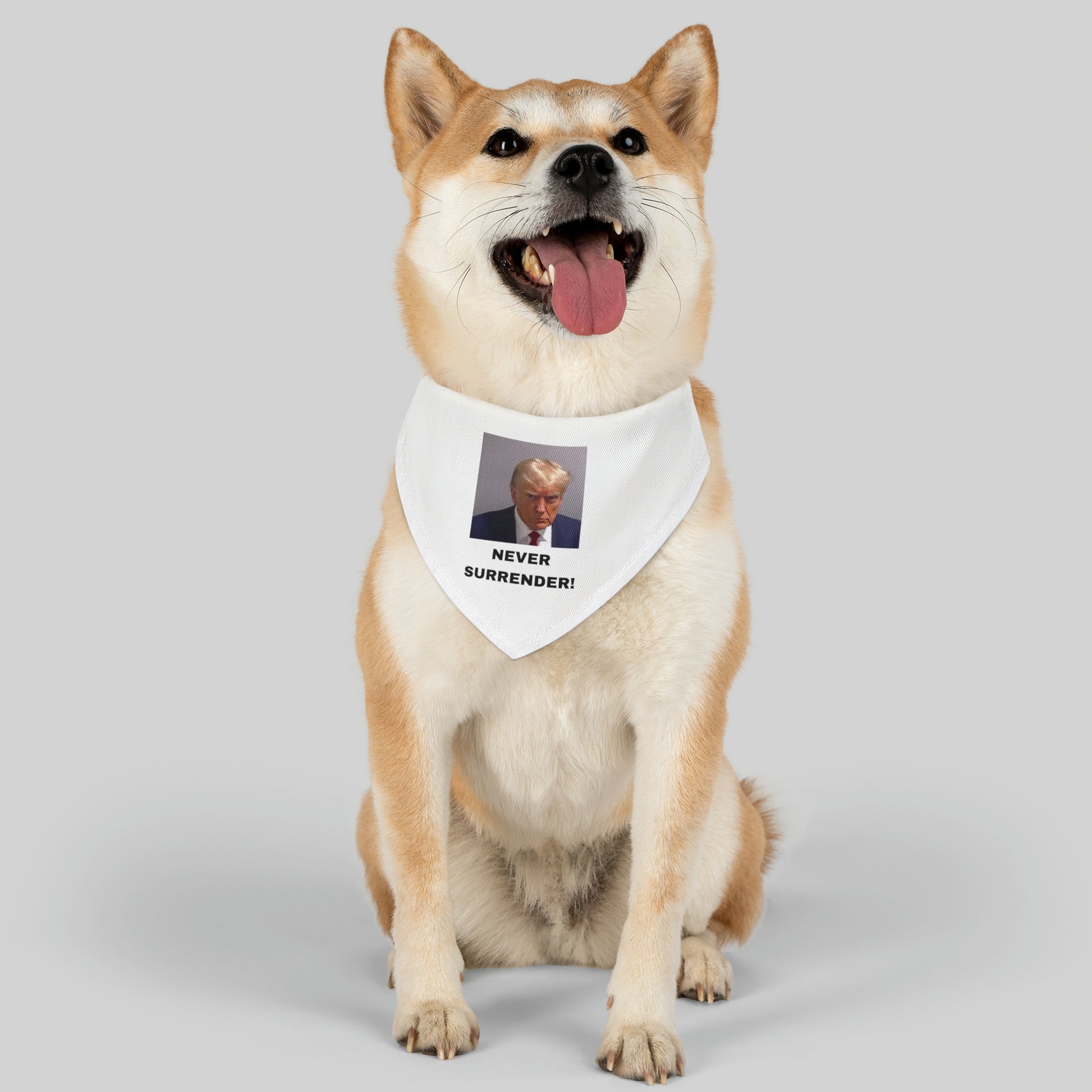 NEVER SURRENDER Trump Mugshot Pet Bandana Collar